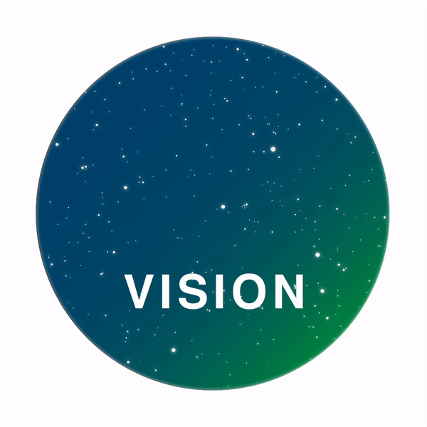 Vision of the lab